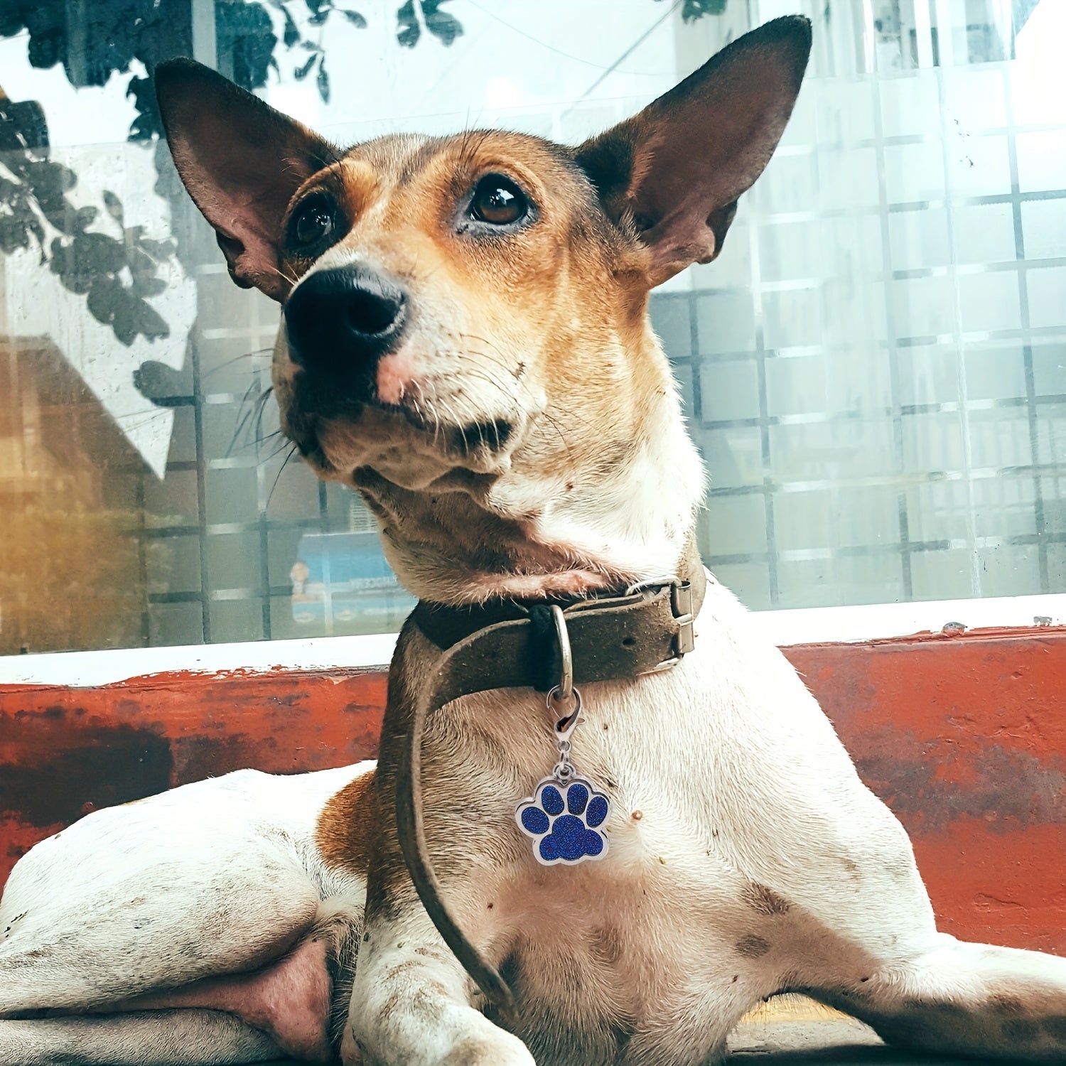 Personalized Dog Tag For Pets, Custom Engraved Dog ID Tag, Glitter Paw Print Collar Tags For Dogs