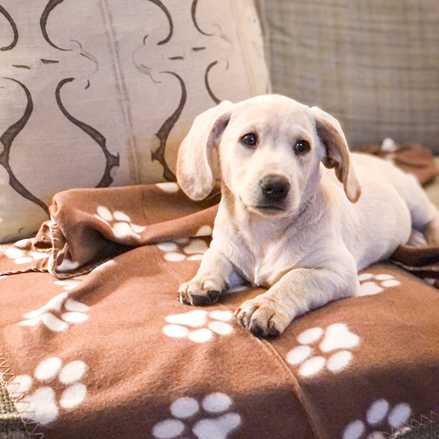 [Warm Paw Print Dog Blankets] 6-Pack Warm Paw Print Dog Blanket Bed Covers - Cozy for Your Furry Pets