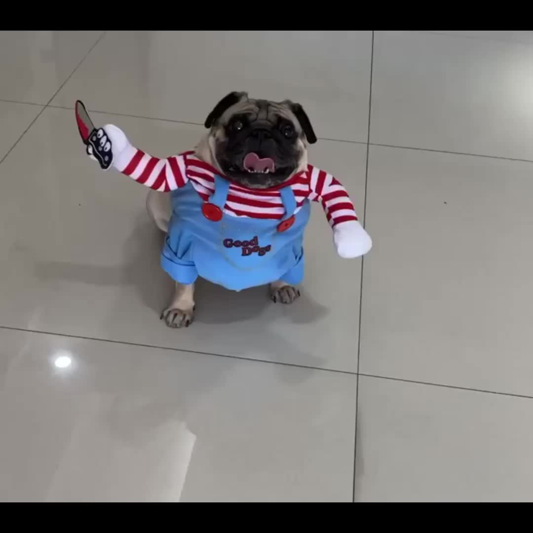 Deadly Doll, Canine, Killer Spirit, Halloween Costume for Pets, Hairpiece