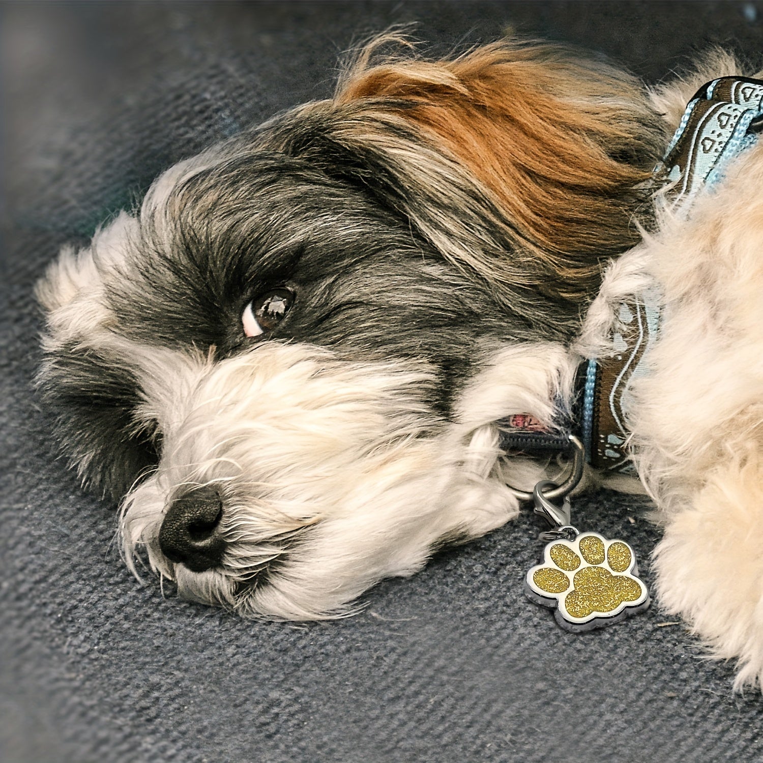 Personalized Dog Tag For Pets, Custom Engraved Dog ID Tag, Glitter Paw Print Collar Tags For Dogs