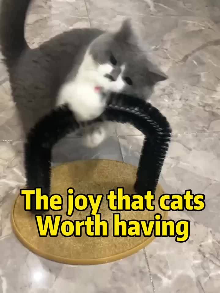 A Scratching Board for Cats That Serves As a Claw Grinder And a Durable Toy, Designed to Keep Pets Entertained And Happy
