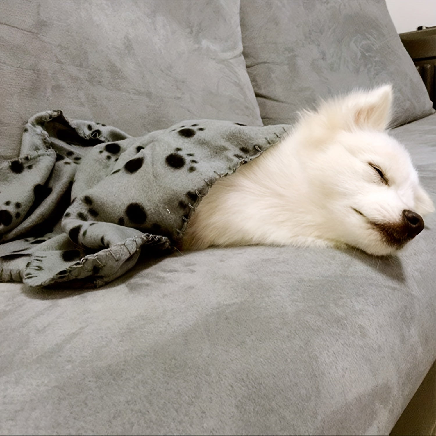 [Warm Paw Print Dog Blankets] 6-Pack Warm Paw Print Dog Blanket Bed Covers - Cozy for Your Furry Pets