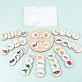 Educational Toys Animals Life Cycle Board Games For Chinden's Teaching Tools Lifestyle Stages Cycle Open-ended Toys