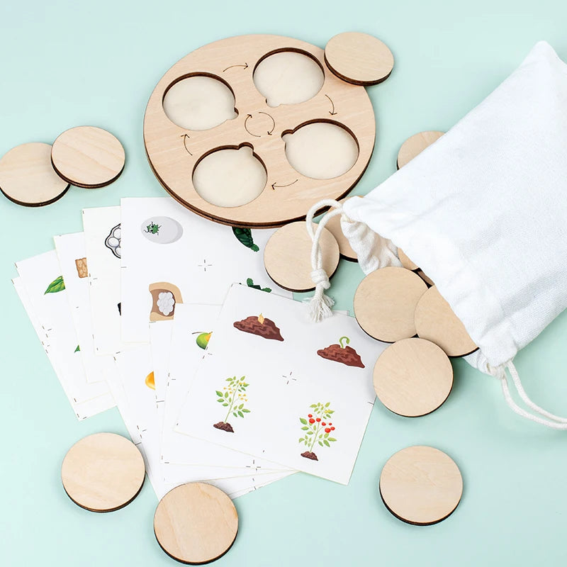 Educational Toys Animals Life Cycle Board Games For Chinden's Teaching Tools Lifestyle Stages Cycle Open-ended Toys
