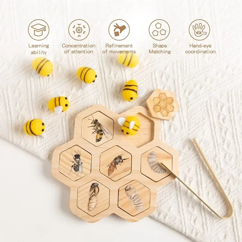 Baby New Animal Life Cycle Board Montessori Teaching Children Toys Bee Animal Growth Cycle Model Set Preschool Cognitive Toys