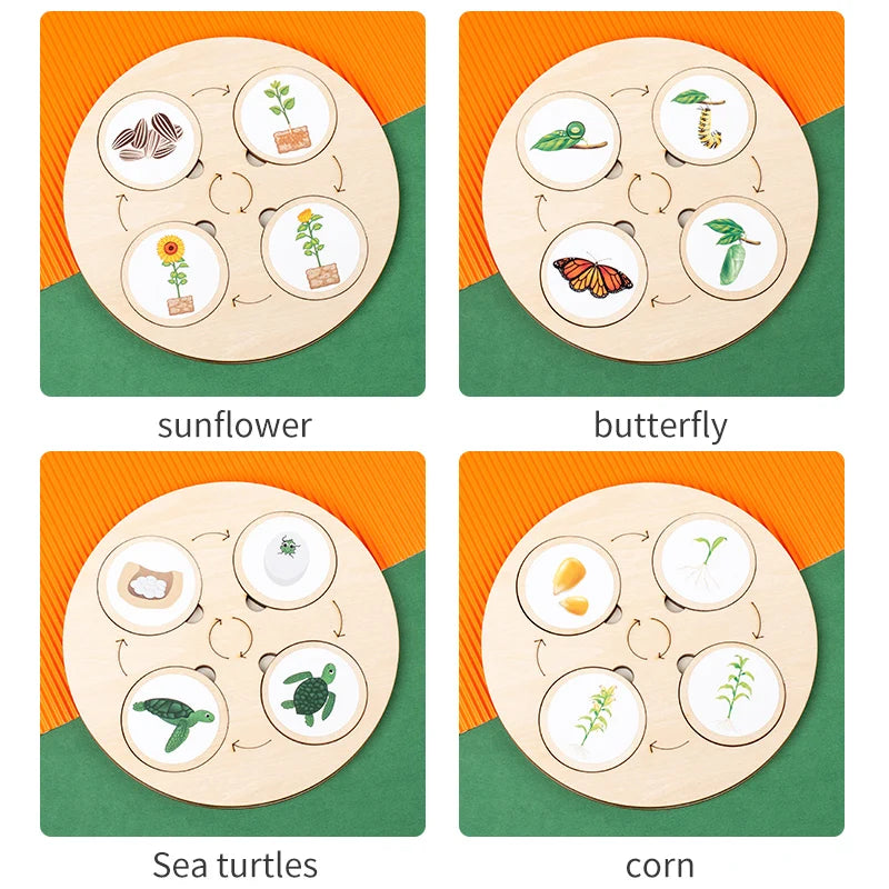 Educational Toys Animals Life Cycle Board Games For Chinden's Teaching Tools Lifestyle Stages Cycle Open-ended Toys