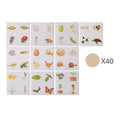 Baby New Animal Life Cycle Board Montessori Teaching Children Toys Bee Animal Growth Cycle Model Set Preschool Cognitive Toys