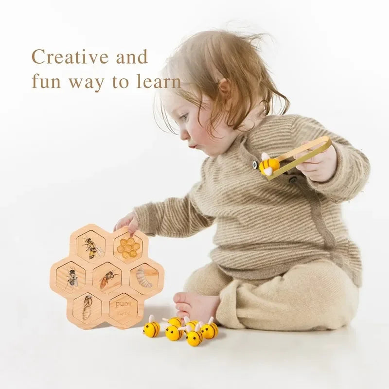 Baby New Animal Life Cycle Board Montessori Teaching Children Toys Bee Animal Growth Cycle Model Set Preschool Cognitive Toys