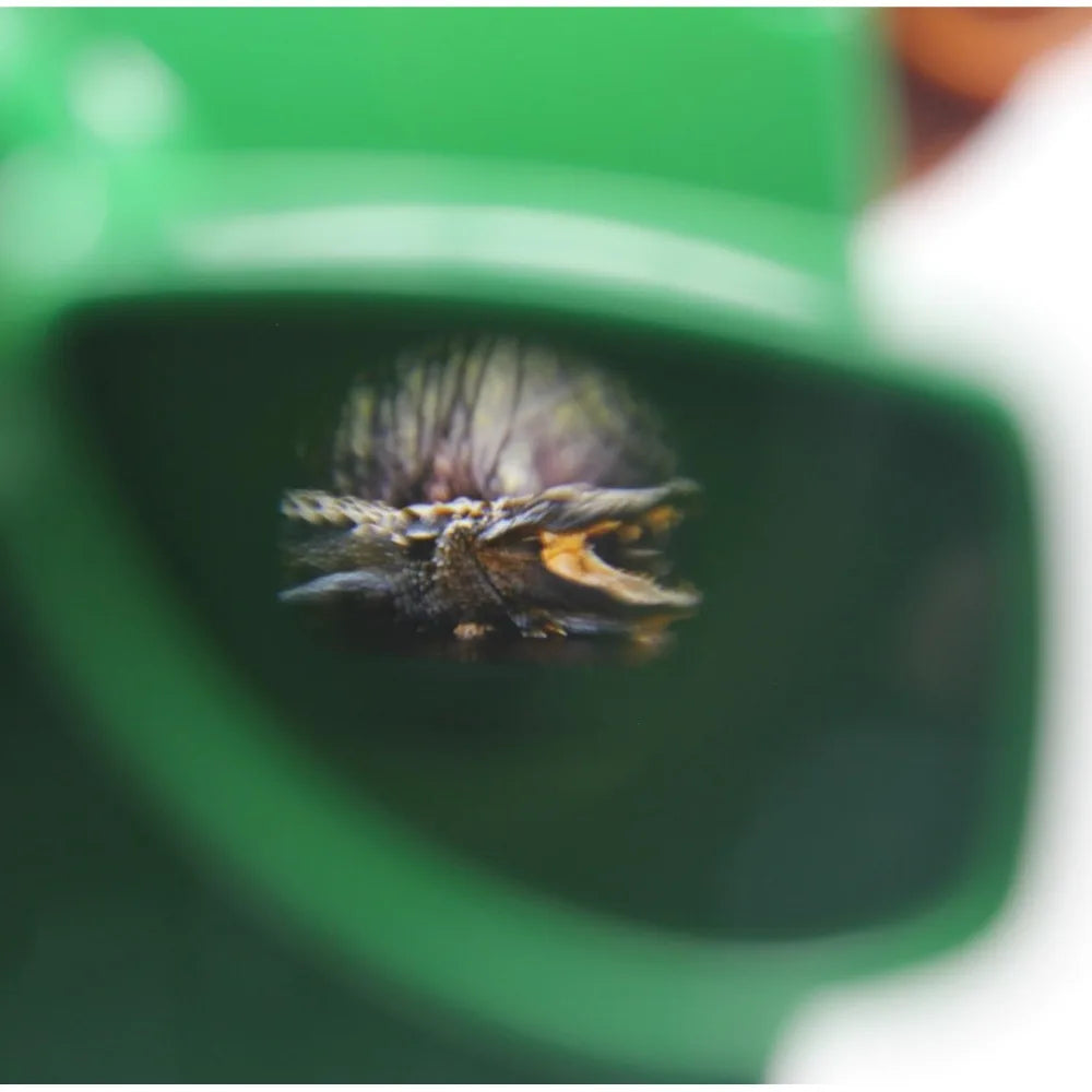 High Quality Luminous Toys 3D View-Master Mini Theater Cognitive Puzzle 3D Observation Deck Viewmaster Viewer for Kids